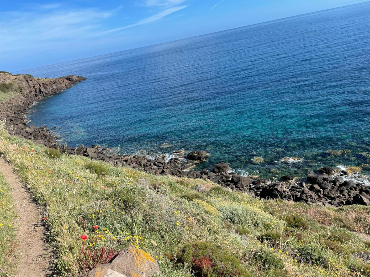 Stella Marina Valledoria (Sardinia)